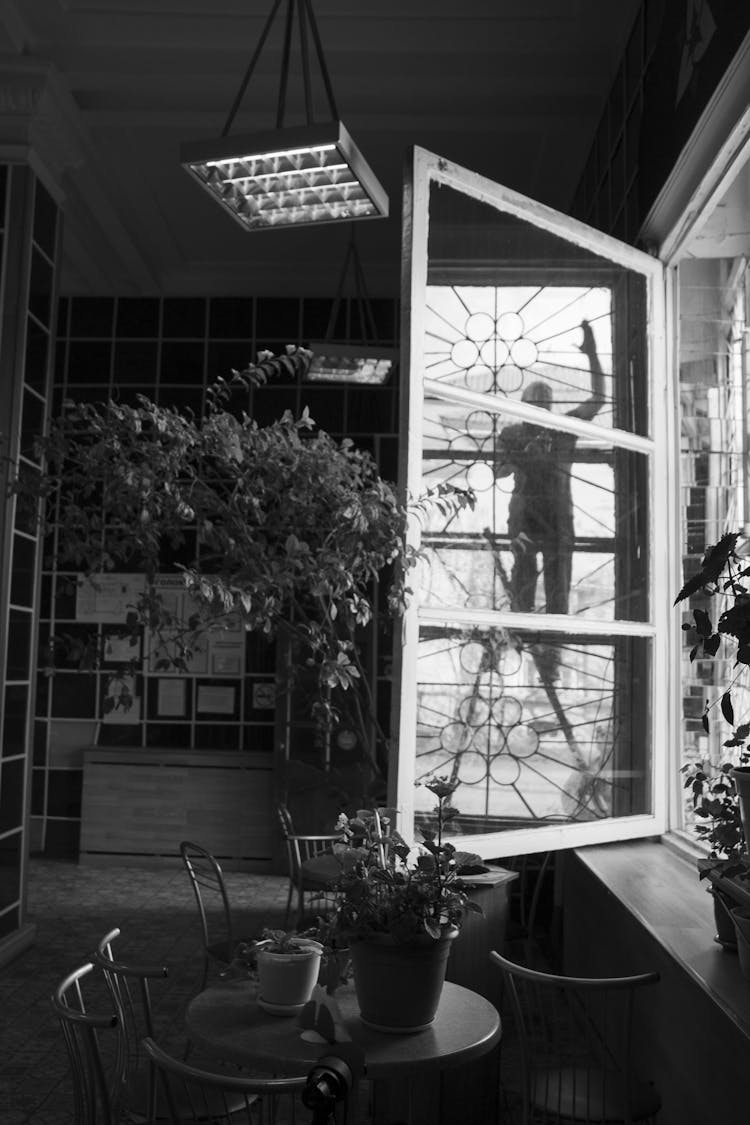 Silhouette Of Man On Ladder Reflecting In Open Window