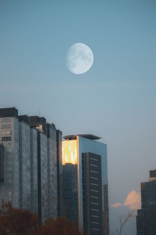 Free Mesmerizing cityscape featuring modern skyscrapers under a glowing dusk sky with a prominent moon. Stock Photo