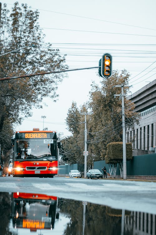 Fotos de stock gratuitas de autobús, automóvil, detener