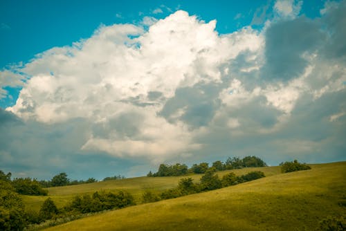 Immagine gratuita di bellezza, campagna, campo