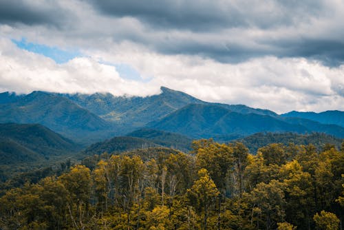 Бесплатное стоковое фото с горы, деревья, живописный вид