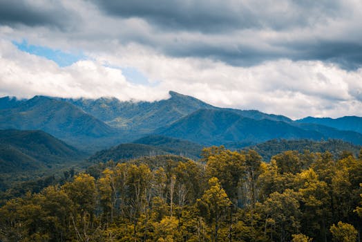 Beautiful mountainous landscape with lush trees under a dramatic cloudy sky.
