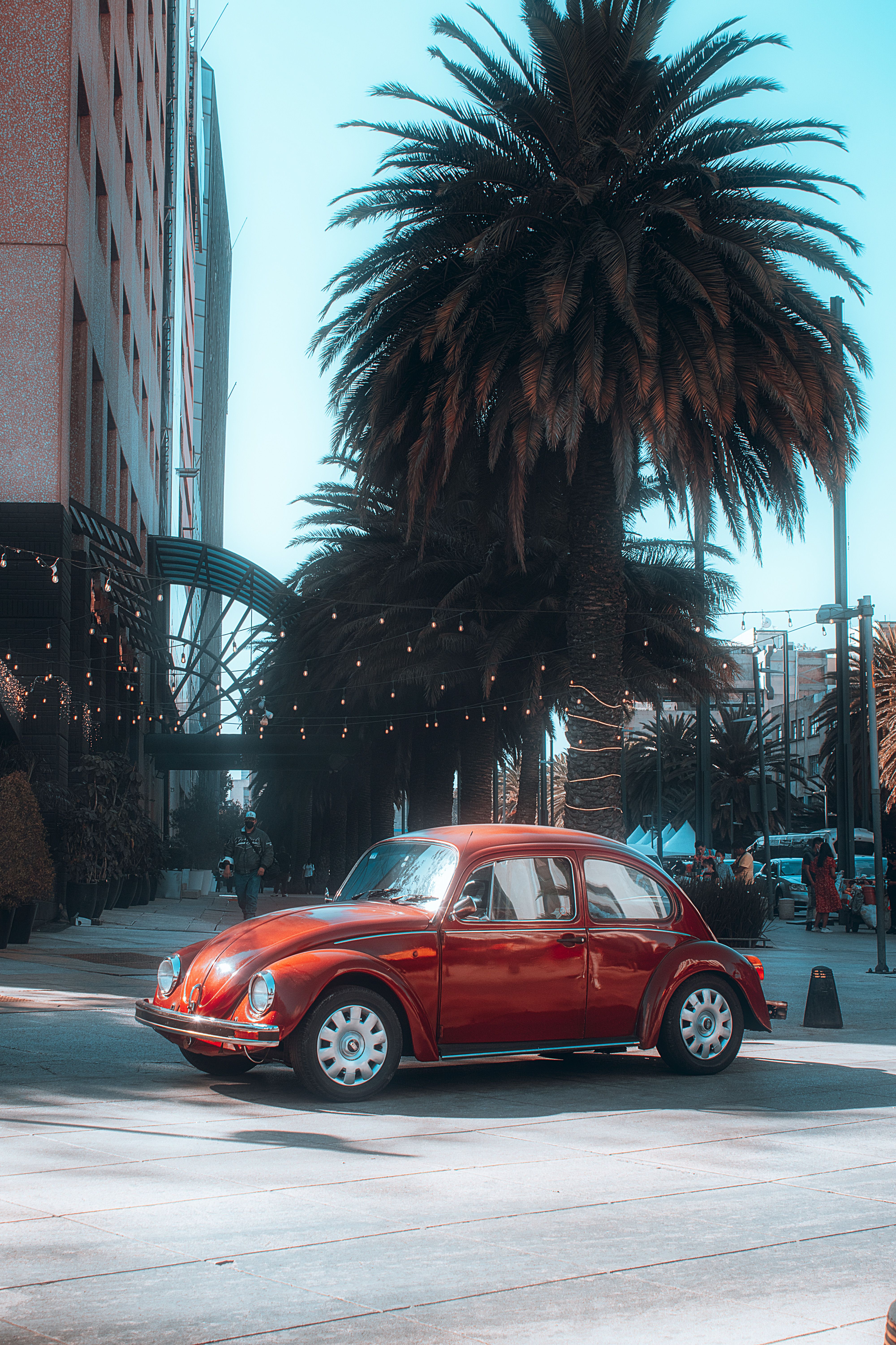A Red Volkswagen Beetle on the Road · Free Stock Photo
