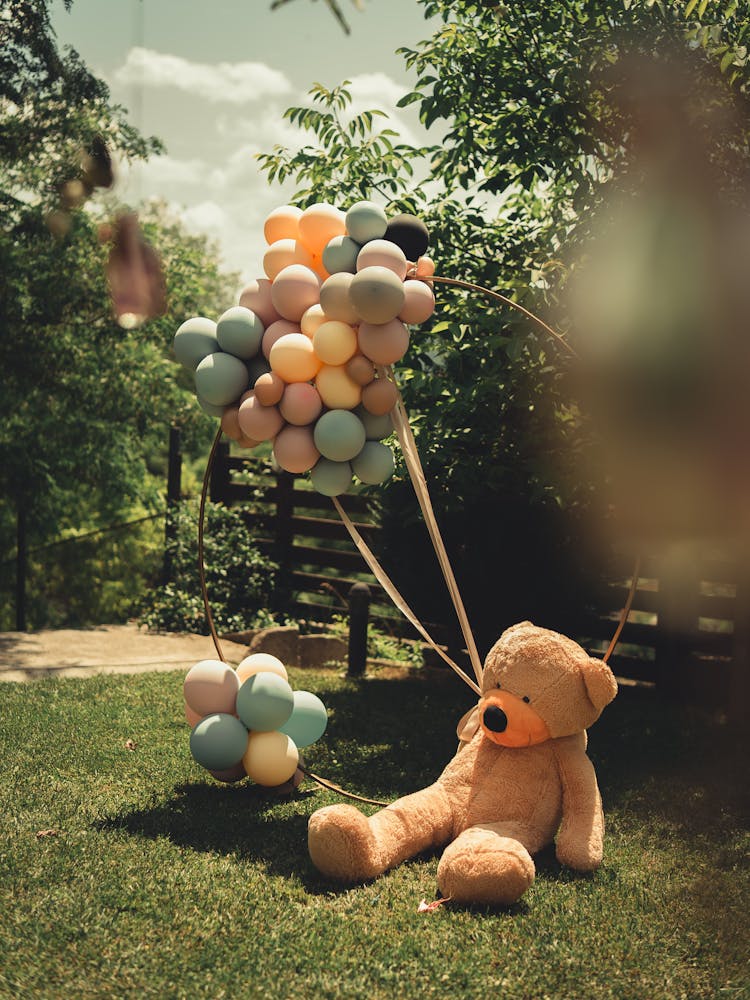 A Teddy Bear With Balloons 