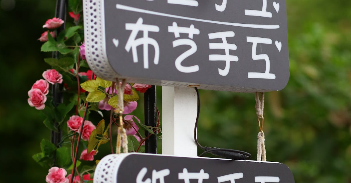 How to delete comments on my Instagram post