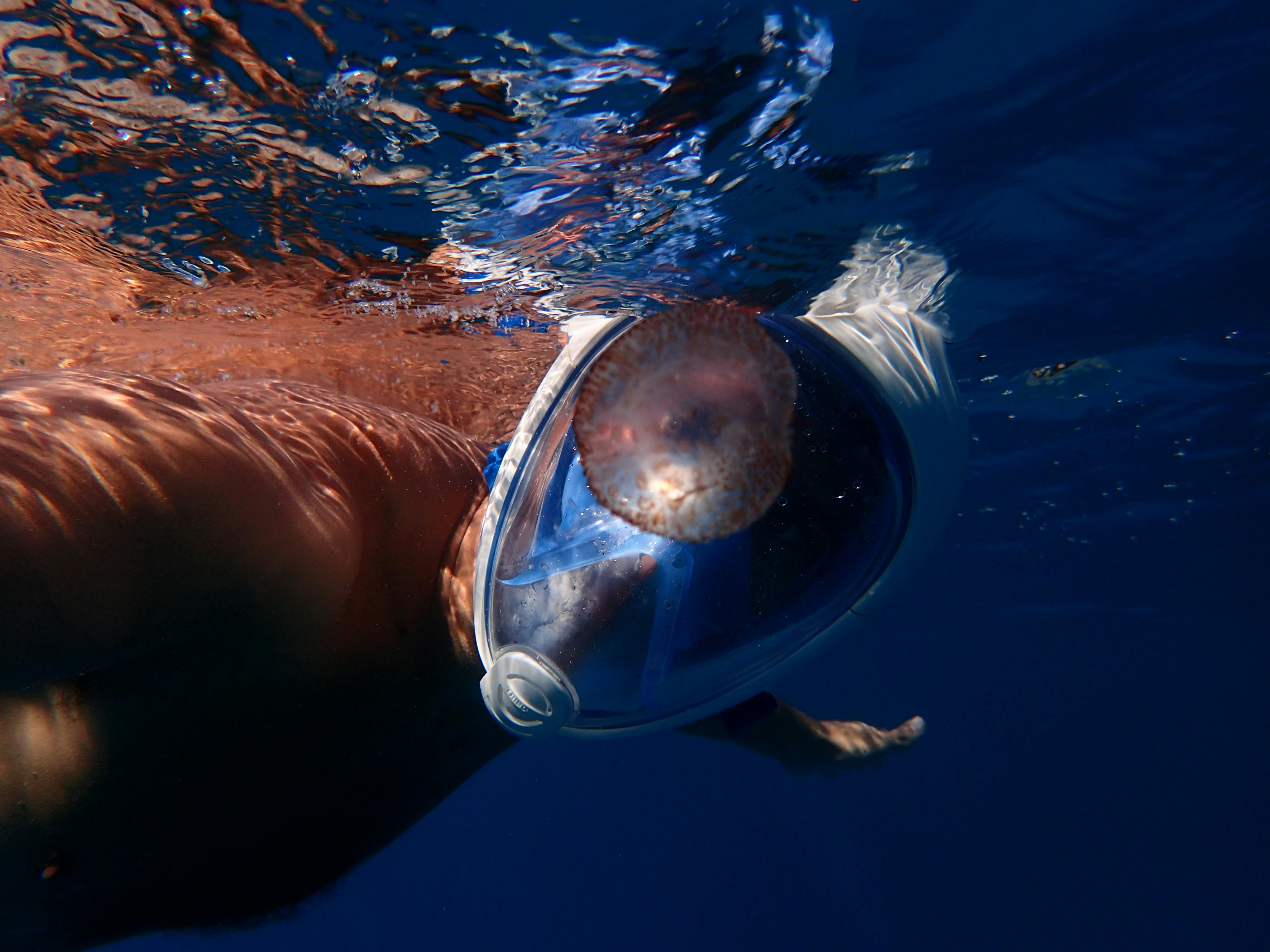 Download Man Swimming Wearing Full Face Snorkelling Mask Free Stock Photo PSD Mockup Templates