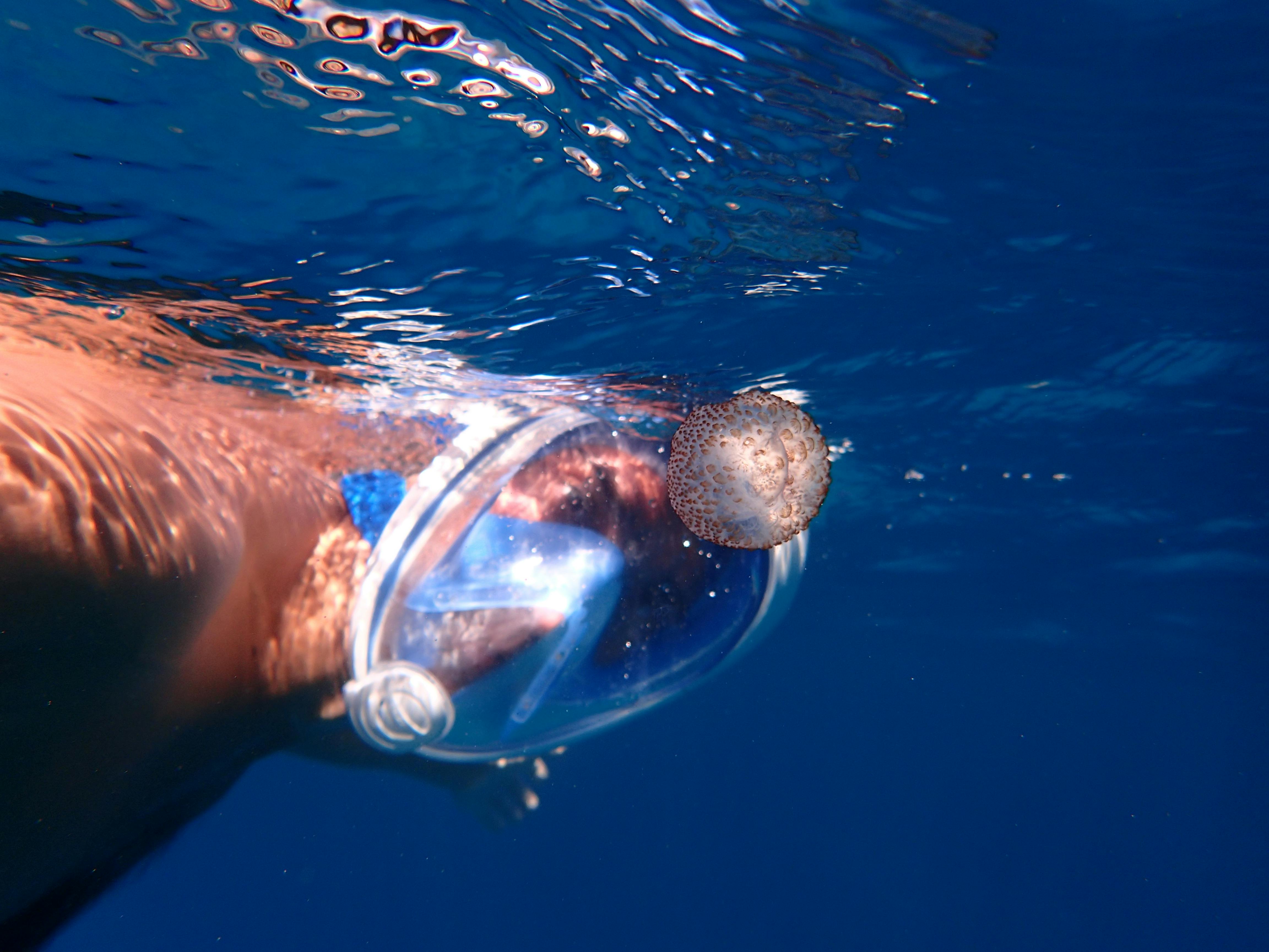 Download Man Swimming Wearing Full Face Snorkelling Mask Free Stock Photo PSD Mockup Templates