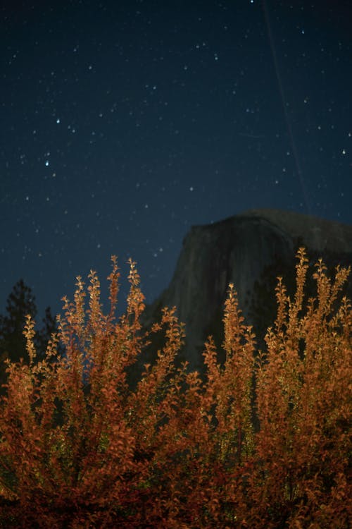 Free Gratis stockfoto met akkerland, astronomie, avond Stock Photo