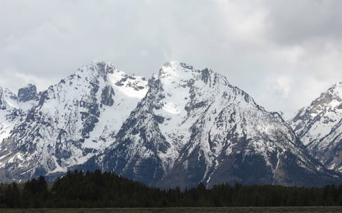 Kostenloses Stock Foto zu draußen, grüne bäume, kiefern