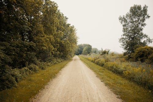 Základová fotografie zdarma na téma dopravní systém, krajina, nezpevněný