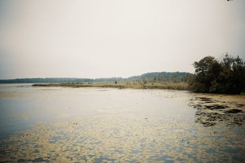 Lake in Foggy Day