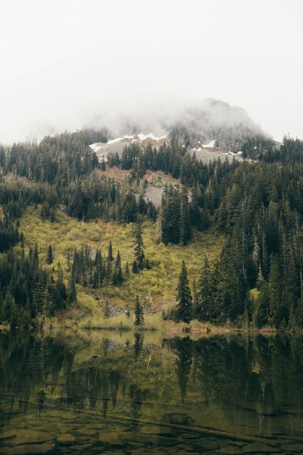 Fog envelops a tranquil mountain with lush forest reflecting in a calm lake in Washington State.