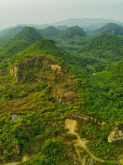 Free A breathtaking aerial view of lush green hills in a tropical rainforest landscape. Stock Photo