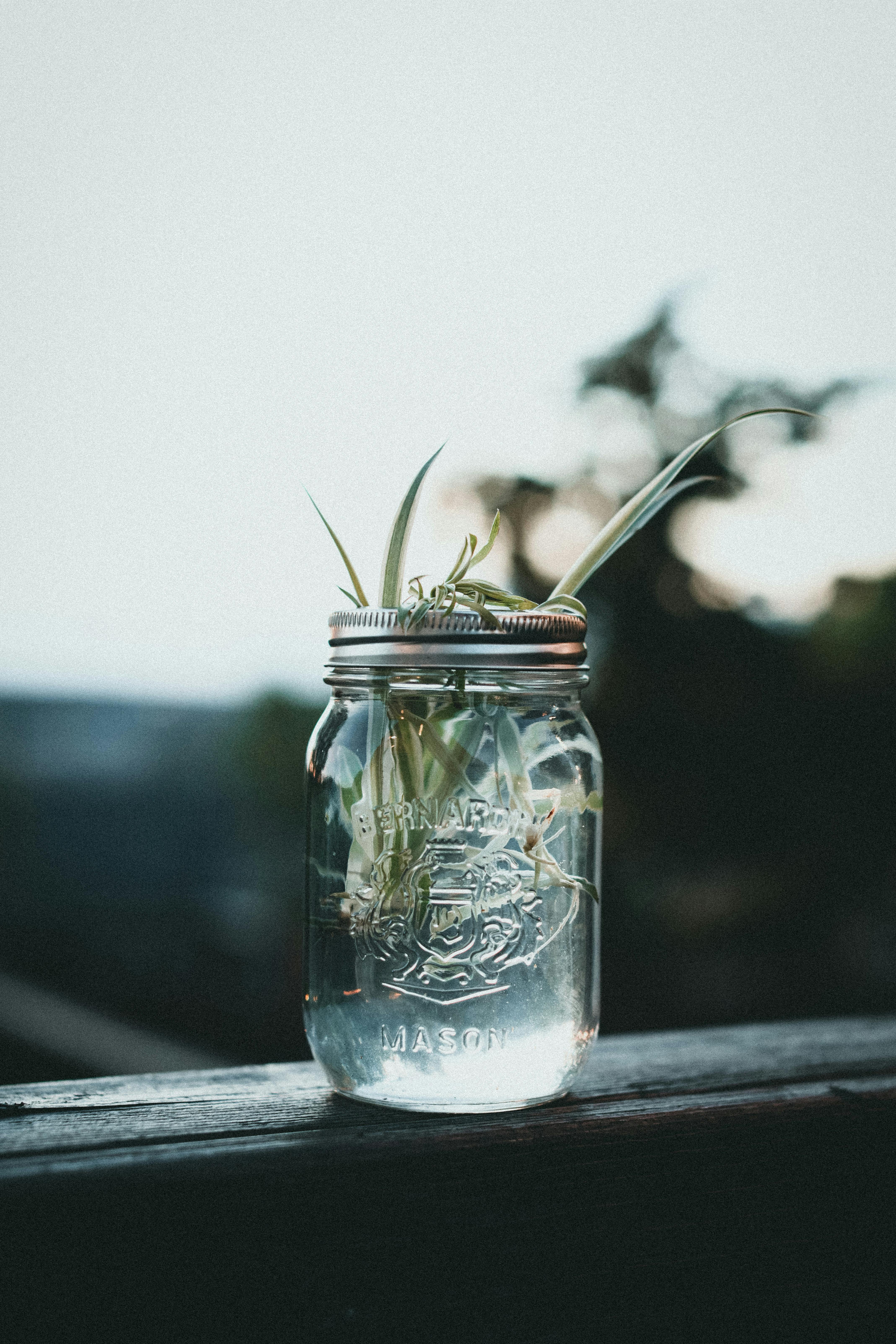 Can you use oxygen absorbers in flour in Mason jars?