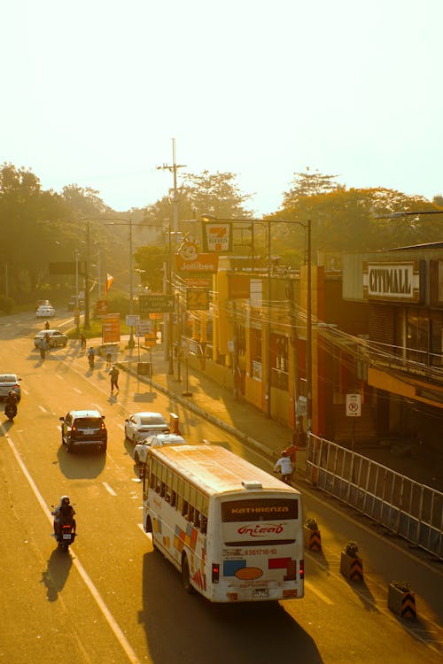 Základová fotografie zdarma na téma architektura, auta, autobus