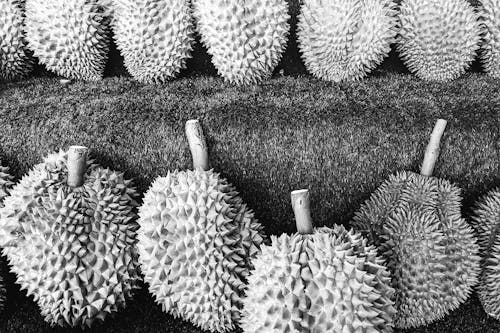Grayscale Photo of Durians