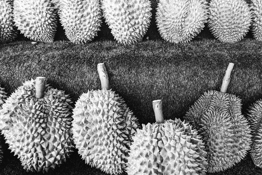 White and Brown Cigarette Stick on Green and White Cactus