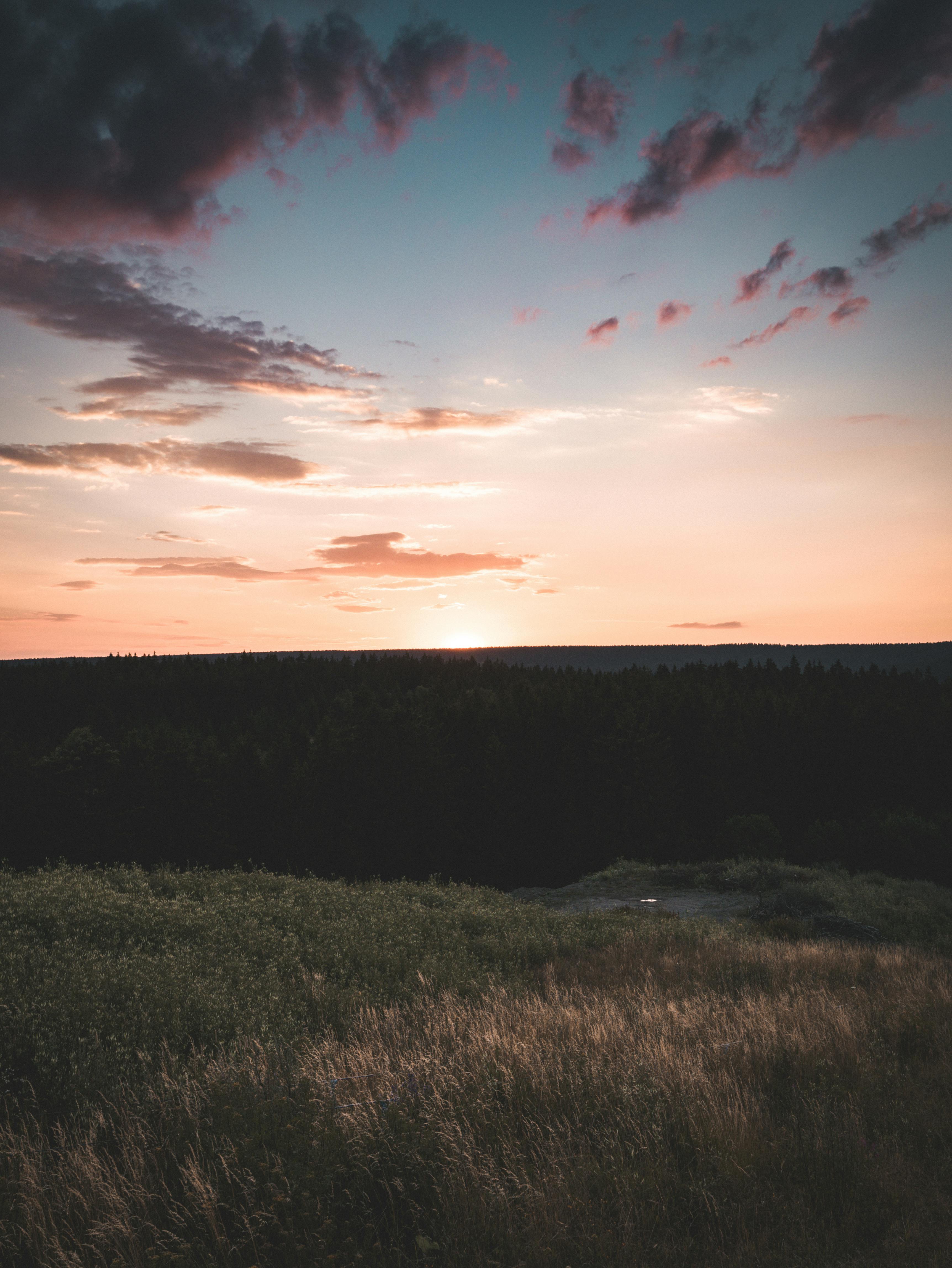Panoramic Photo of Plains during Sunrise