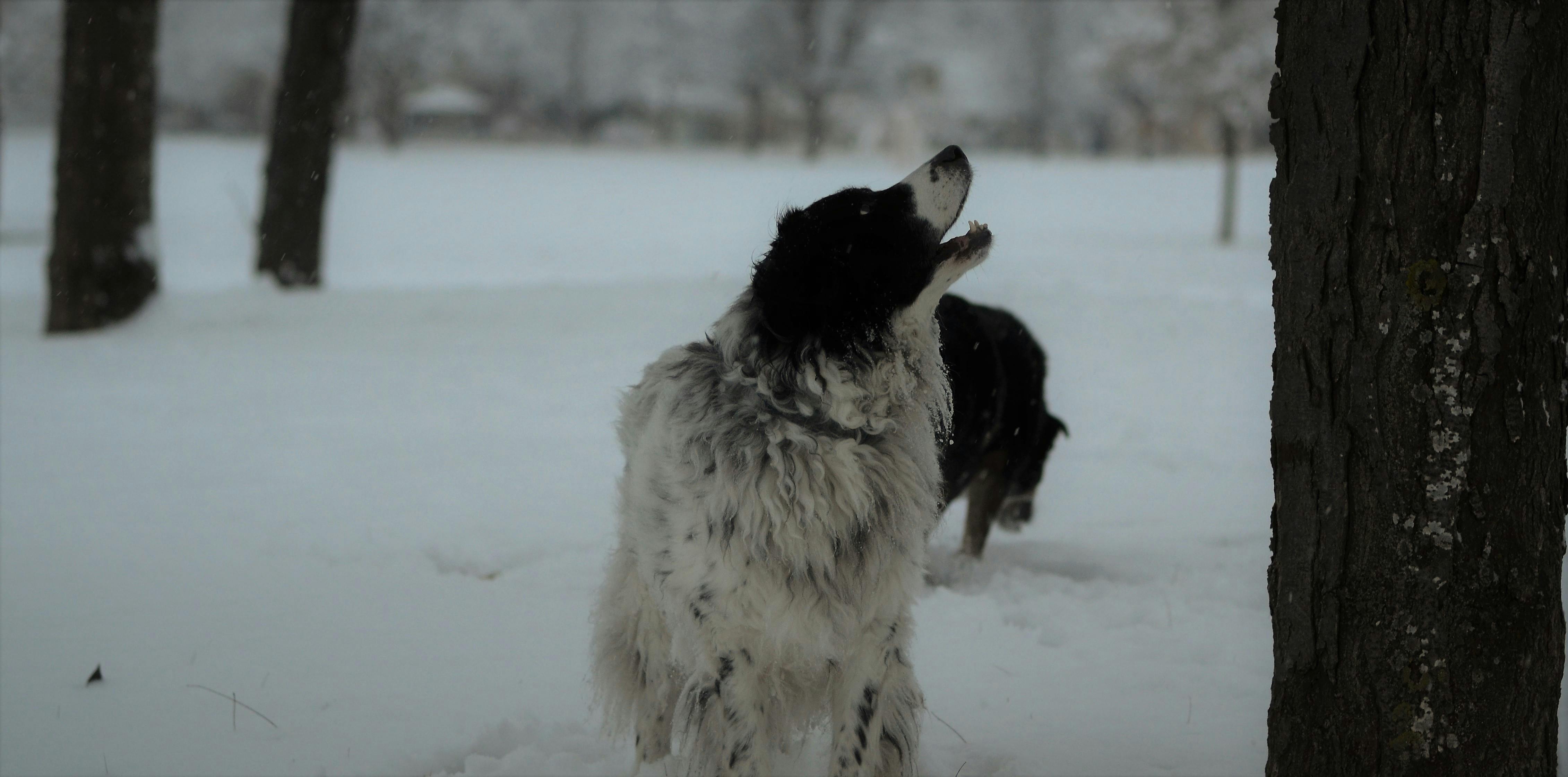 Wendy Inman - 사진