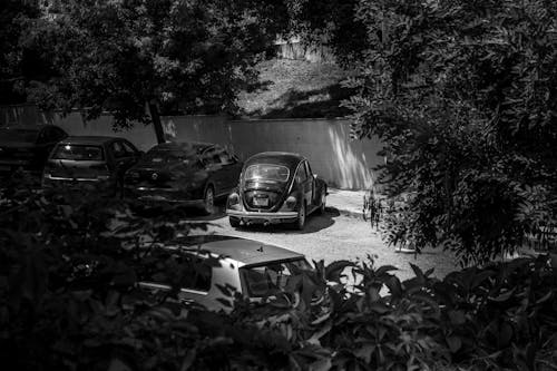 Foto d'estoc gratuïta de aparcament, blanc i negre, cotxe antic