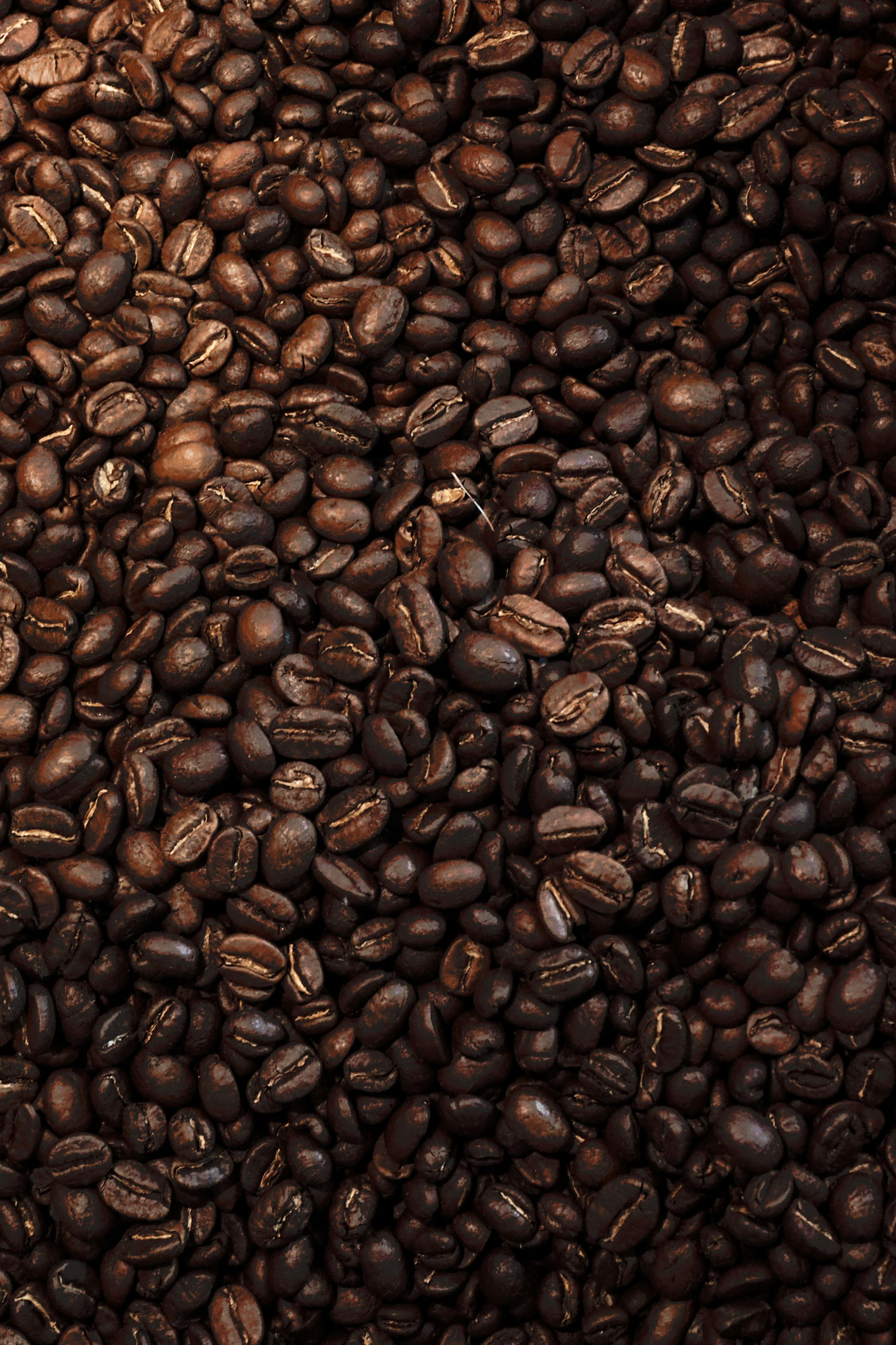 Benefits And Downfalls Of A Gourmet Coffee Bean