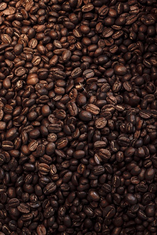 Ücretsiz dikey atış, kafein, kahve çekirdekleri içeren Ücretsiz stok fotoğraf Stok Fotoğraflar