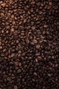 Umber Images
