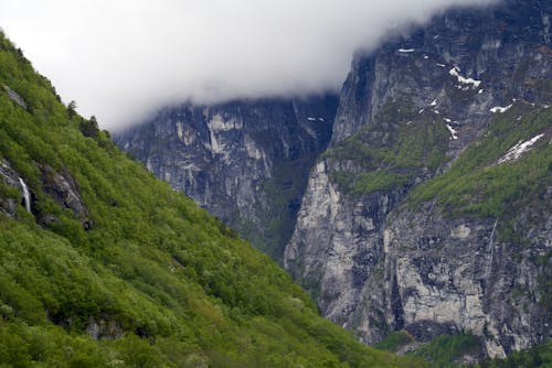 Foto profissional grátis de ao ar livre, árvores, cênico