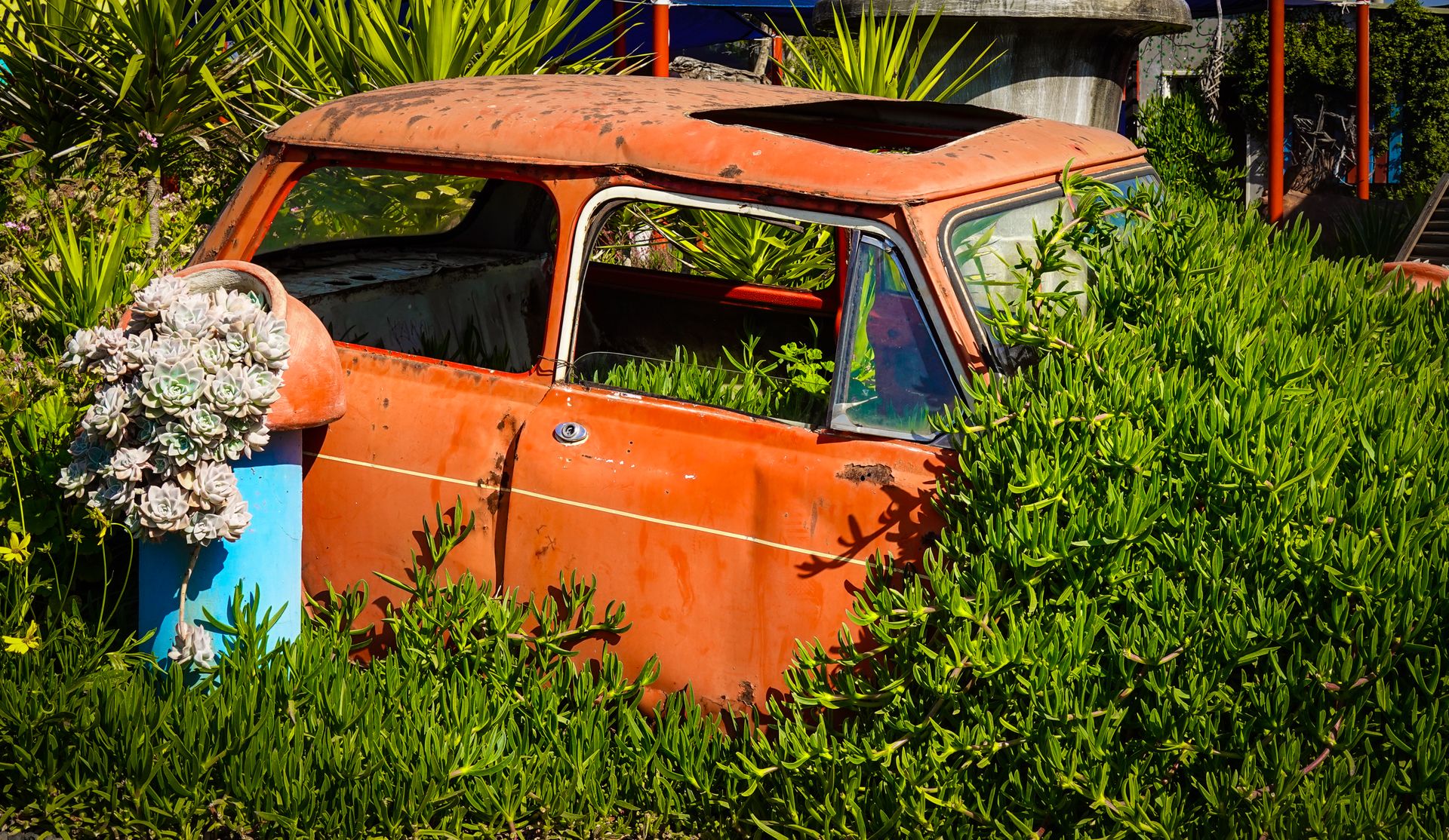 An old orange car enveloped by vibrant green plants in a summer garden setting.