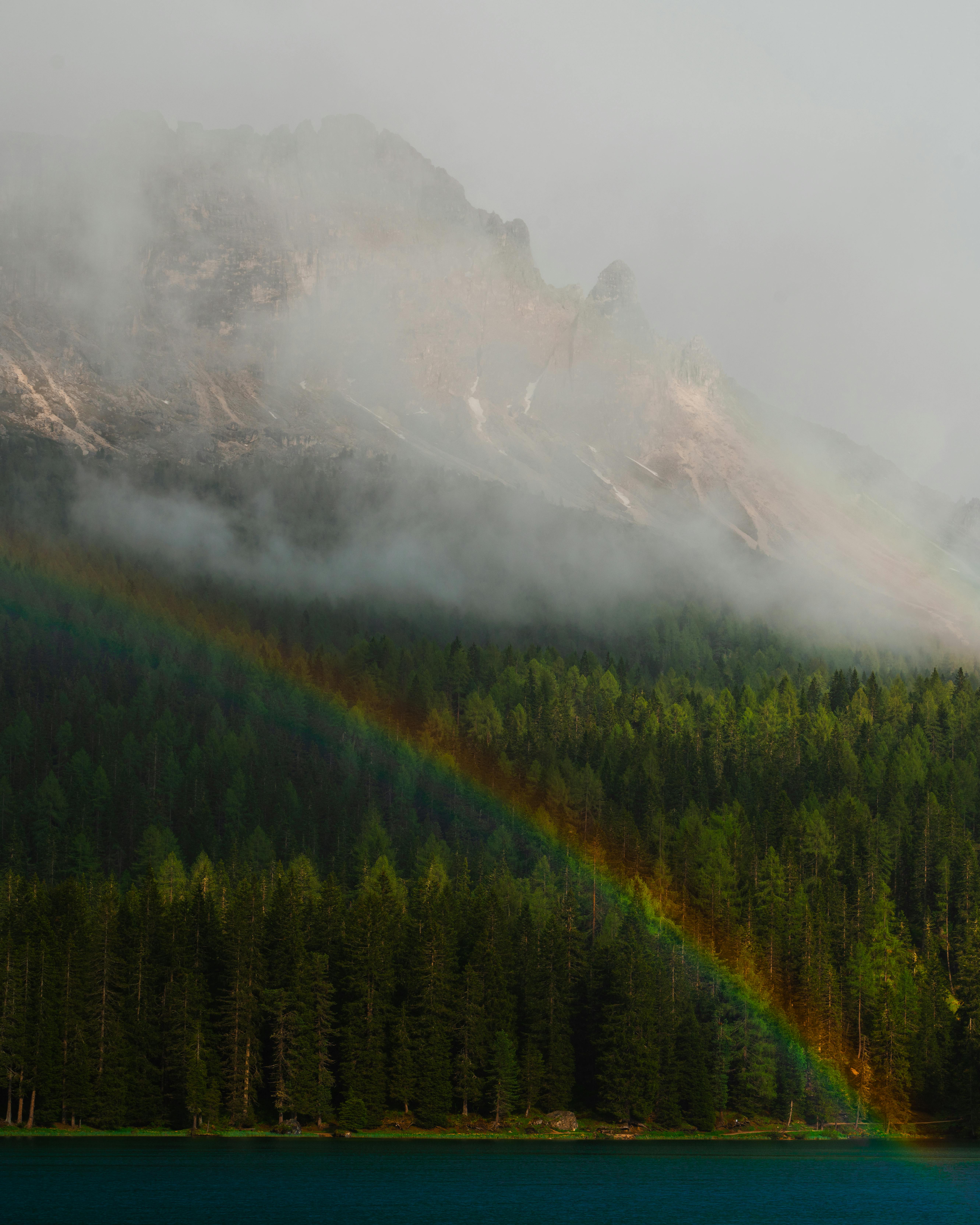 Misty mountain scene in Italian Alps with rainbow and dense forest.