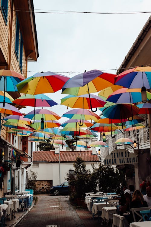 Colorful Umbrellas over Alley in Town