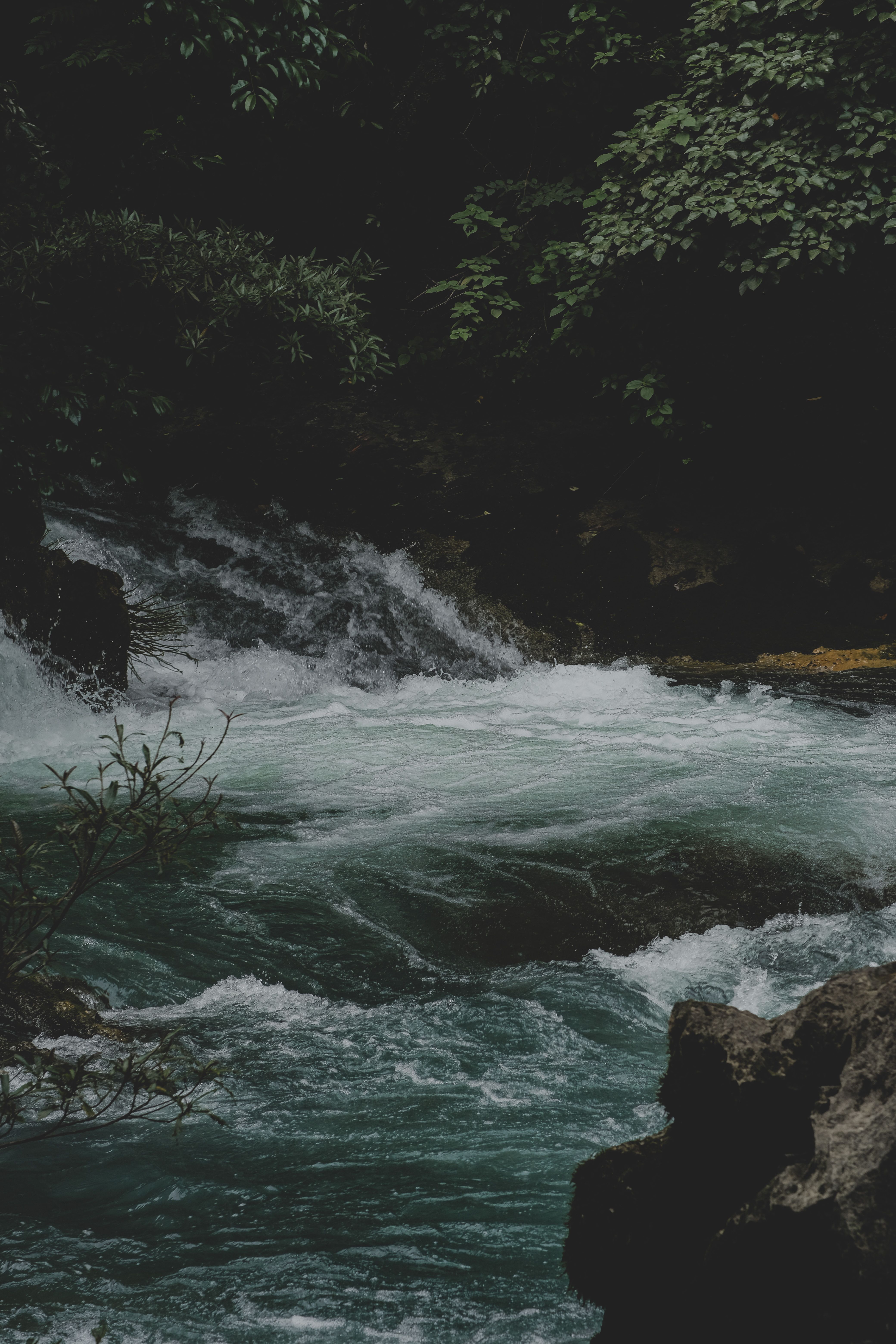 A river flowing through a forest with green trees · Free Stock Photo