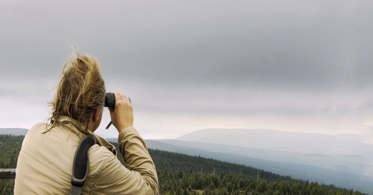 Viewing Something Person Looking at a Scenic View using a Binocular · Free Stock Photo