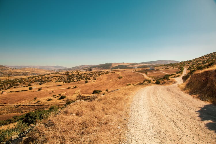 Road On Wasteland