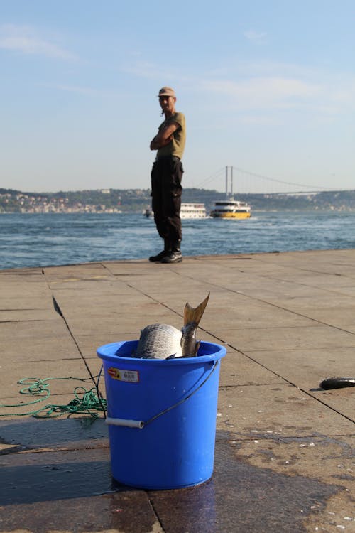adam, Balık tutmak, deniz içeren Ücretsiz stok fotoğraf
