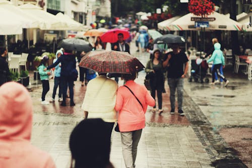 Alley Holding şemsiyeler üzerinde Yürüyen İnsanlar