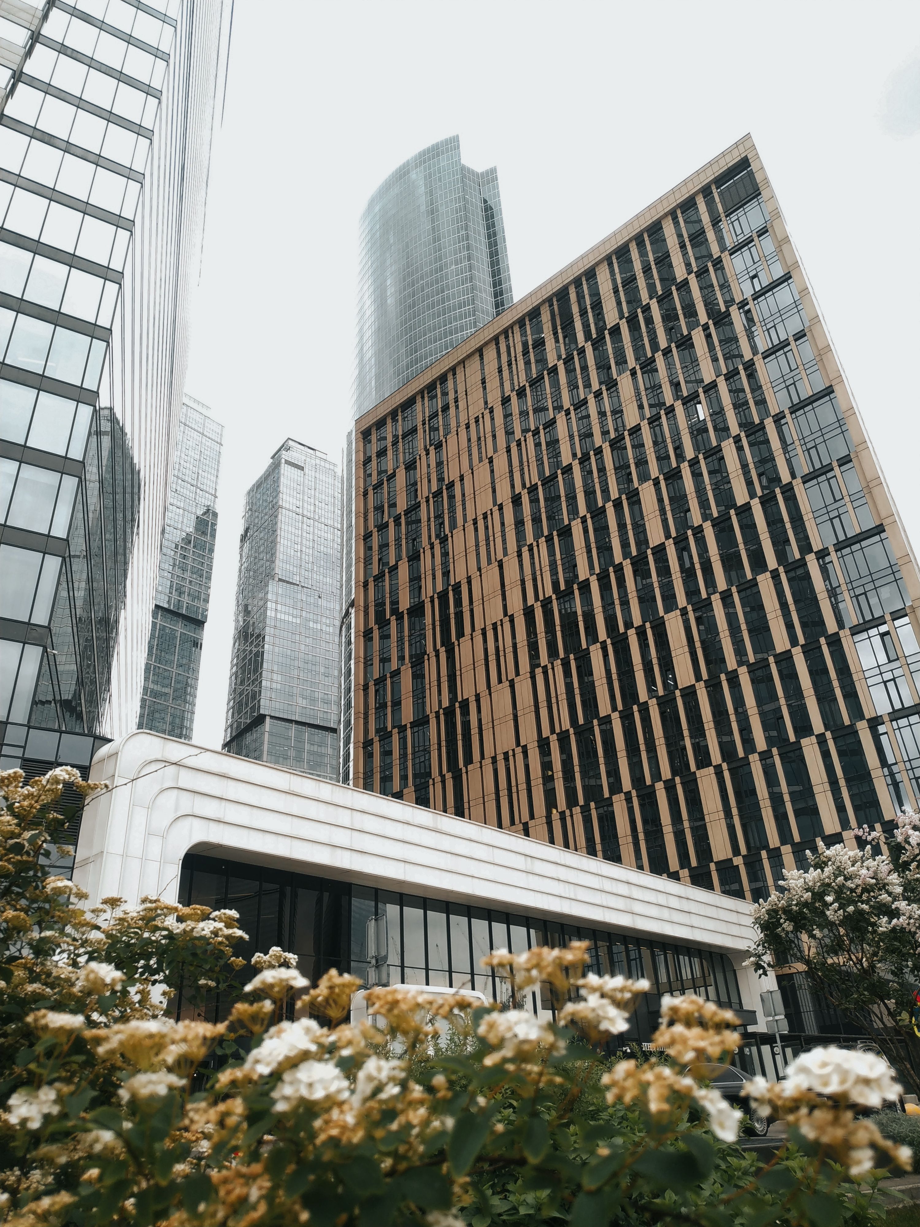 Flowers and Skyscrapers behind · Free Stock Photo
