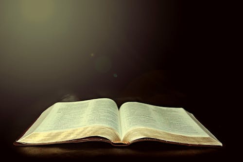 Gratis lagerfoto af Bibel, bibelstudiet, den hellige bibel