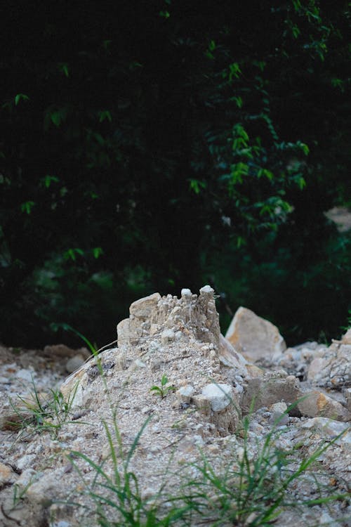 Základová fotografie zdarma na téma detail, mletý, písek