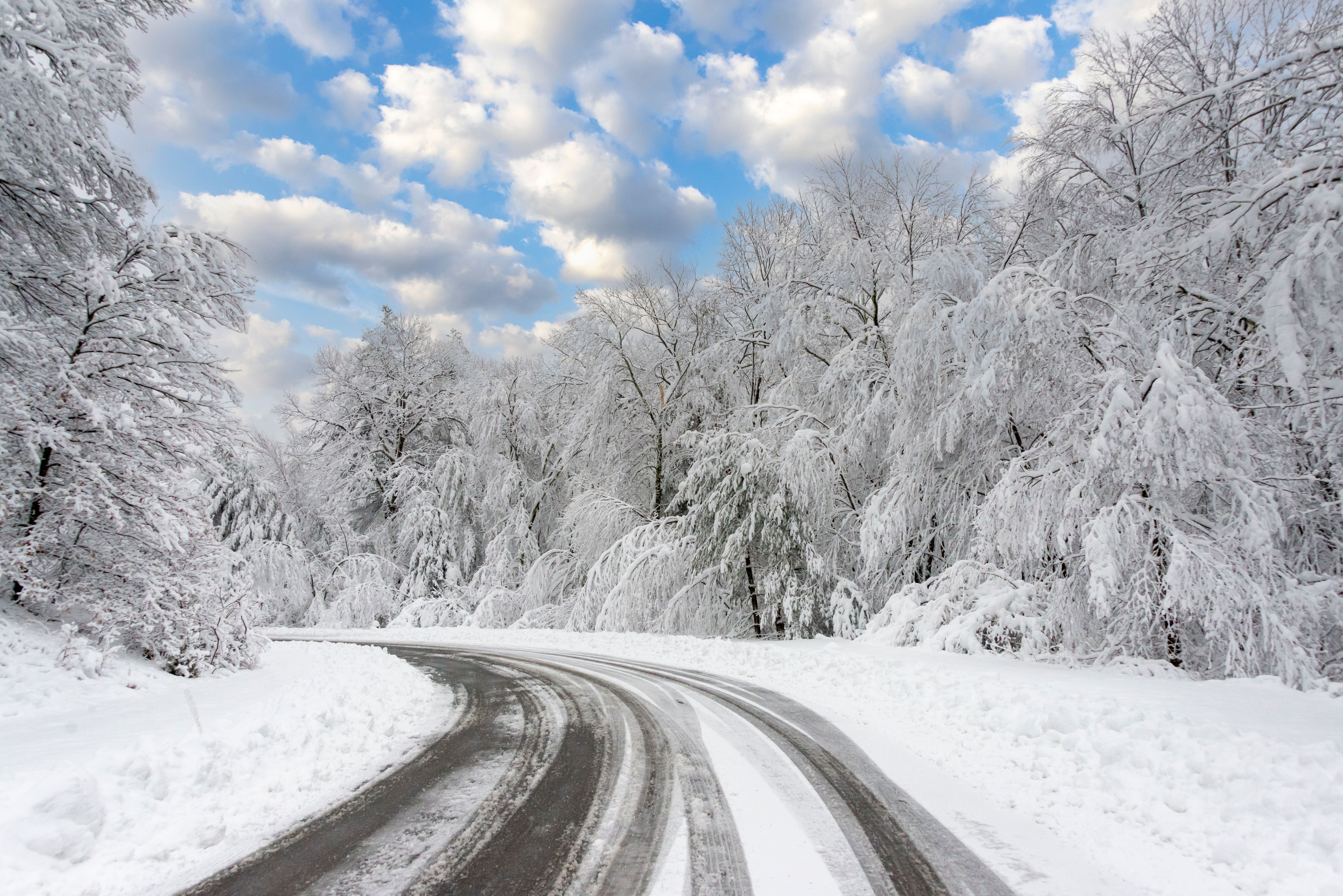 A scenic snow-covered road curves through a winter forest under a bright sky.