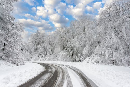 Безкоштовне стокове фото на тему «дерева, дорога, зима»