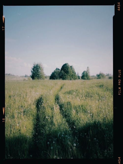 Kostenloses Stock Foto zu ackerland, blauer himmel, der grünen wiese