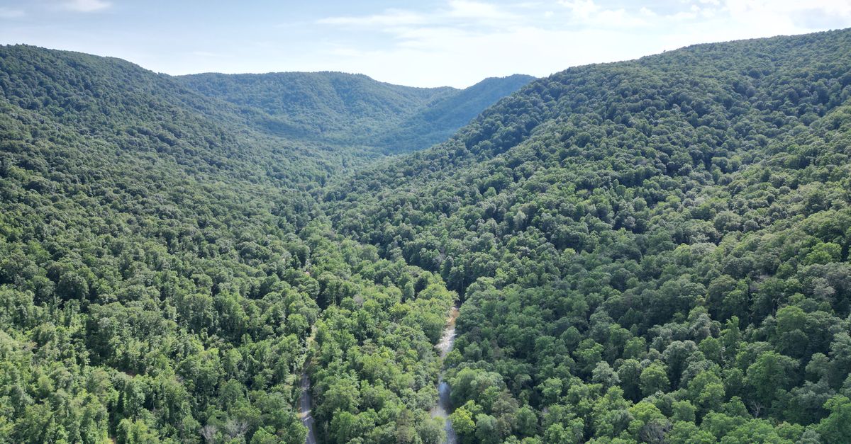 Stunning aerial view of dense green forests and winding river in Saluda, North Carolina.