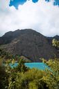 Green Trees on Mountain Near Lake Under Cloudy Sky