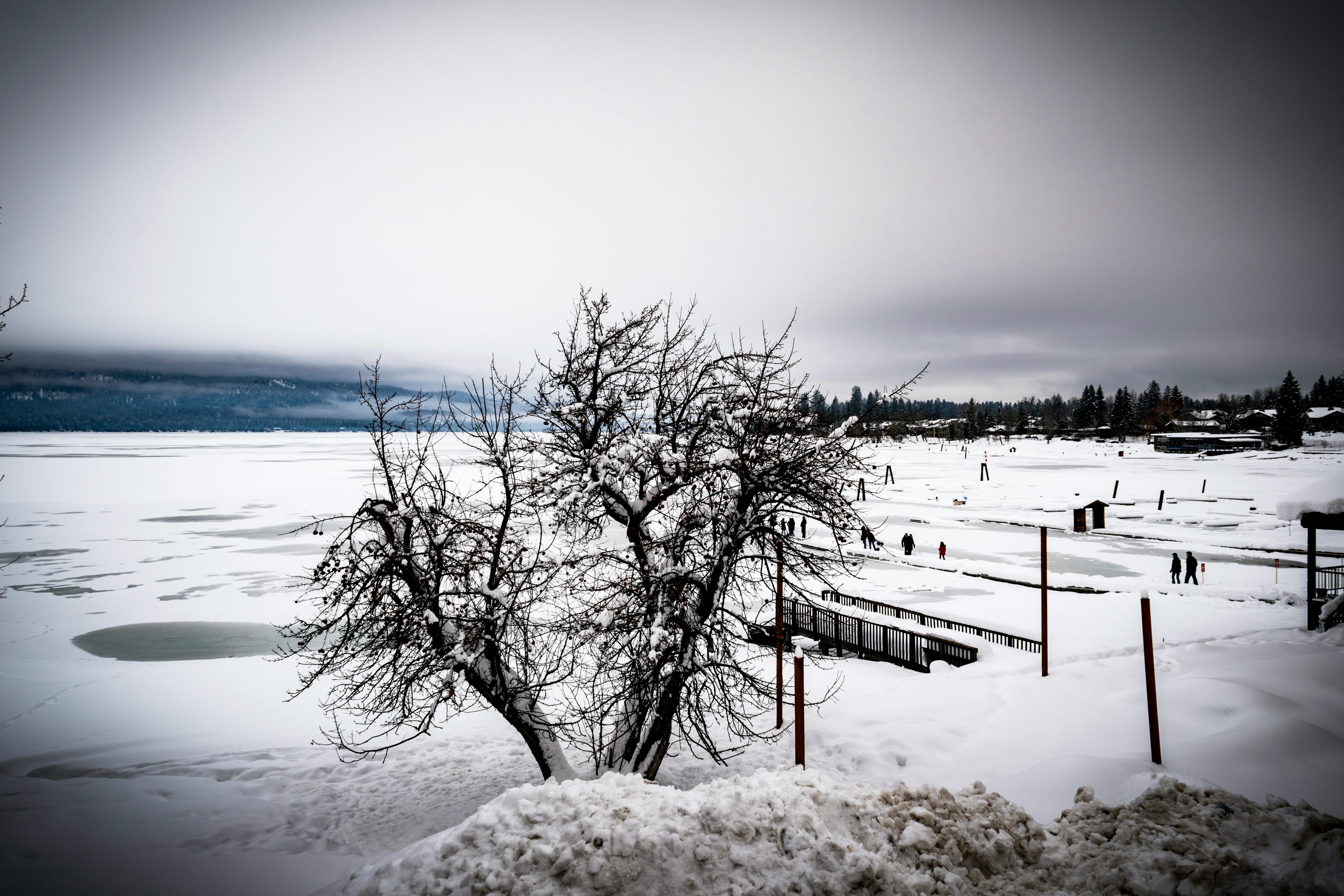 Free stock photo of cold, frozen lake, ice