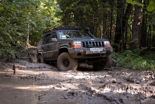 Foto profissional grátis de 4x4, árvores, aventura