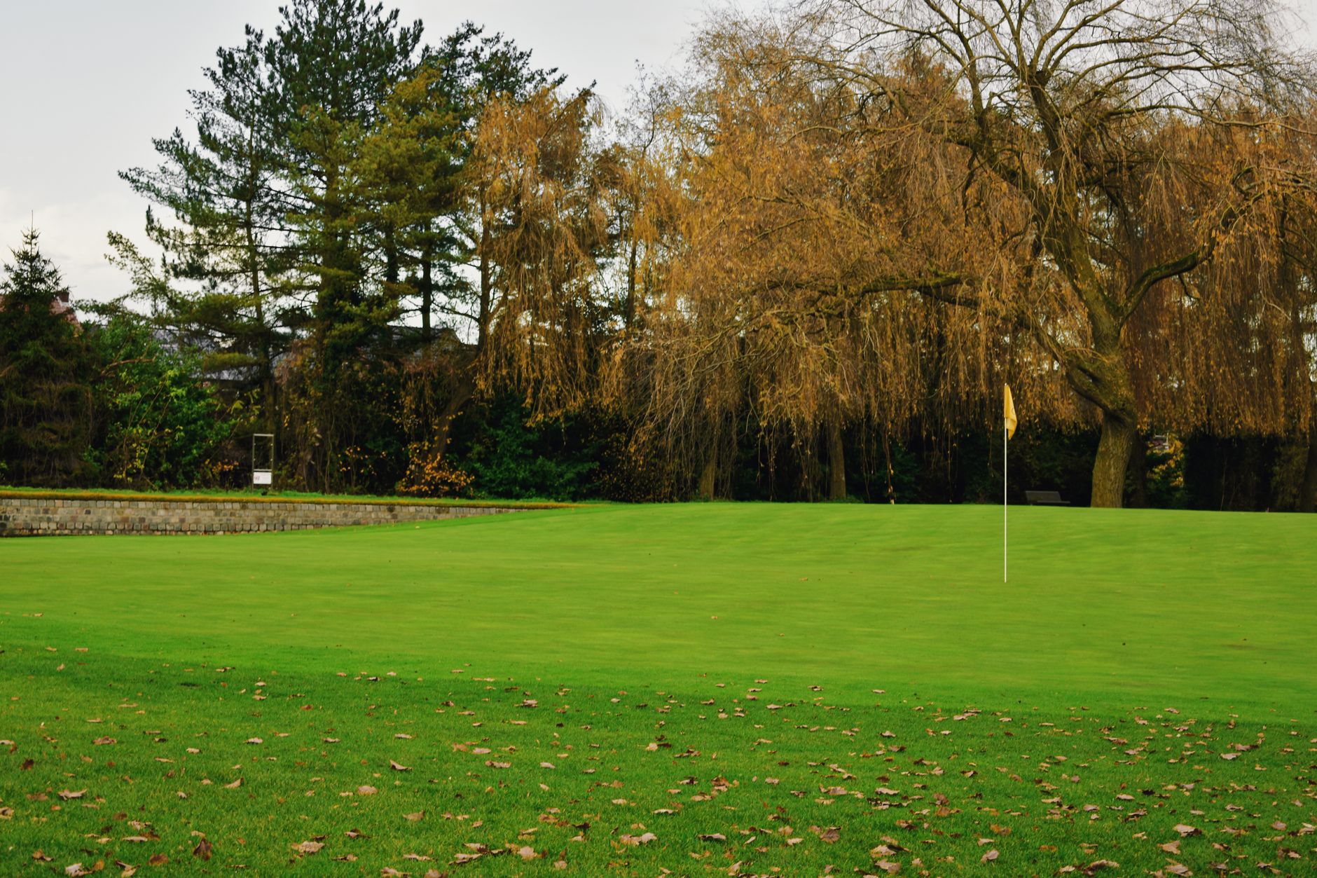 Üniversite golf sahasında oyuncular ve bayrak