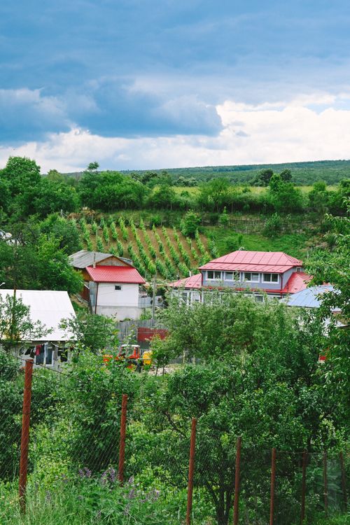 Free Scenic view of lush agricultural fields and quaint houses under a blue sky. Stock Photo
