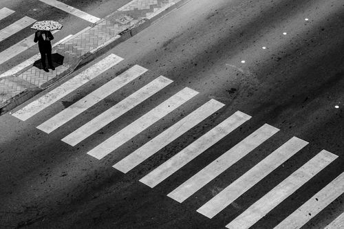 Free Aerial view of a lone person with an umbrella at a zebra crossing in Abu Dhabi. Stock Photo