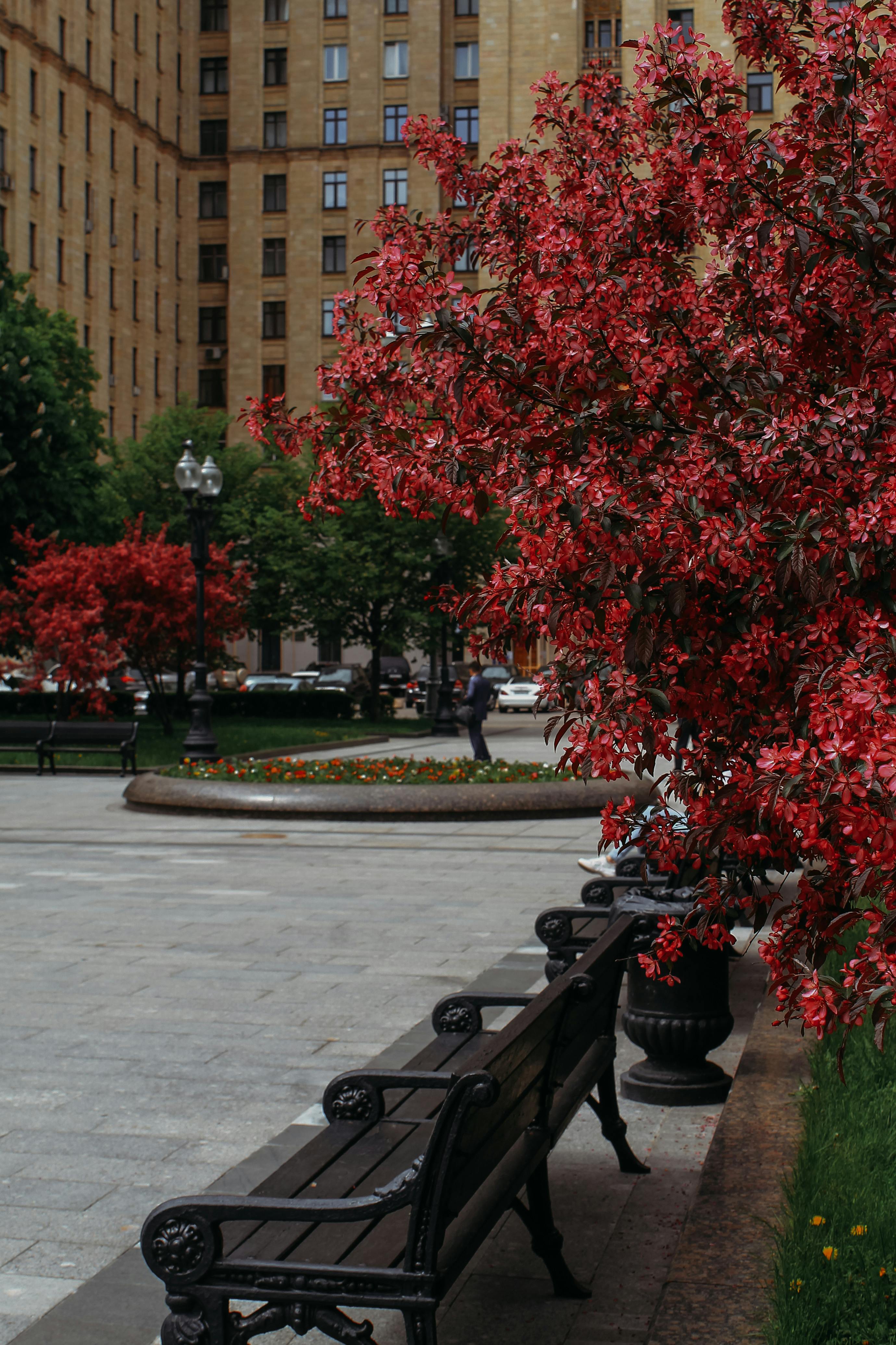 străzi modernizate cu trotuare, parcări, spații verzi și facilități urbane